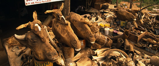 Togolese Fetish Market