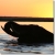 Chobe National Park