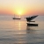 The Paradise Islands of Mozambique