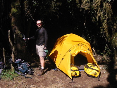 Big Tree/Forest camp