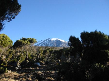 img_3377.jpg