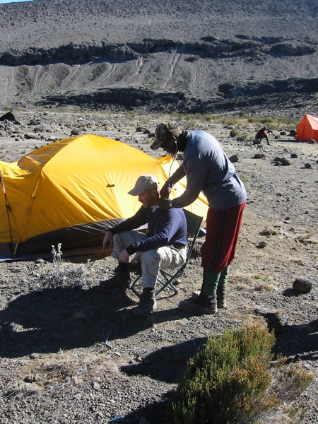 checkup.jpg