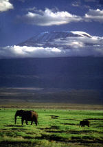 kili