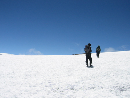 snow-field.jpg