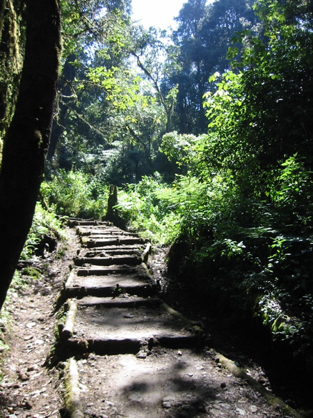 path.jpg