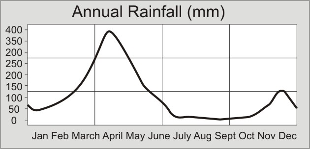 Rainfall