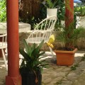 Cheap Hotels in Boquete