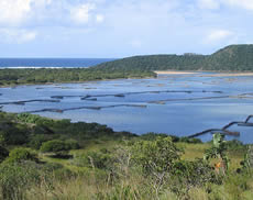 kosi_bay.jpg