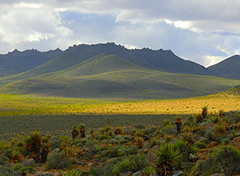 namaqualand1.jpg