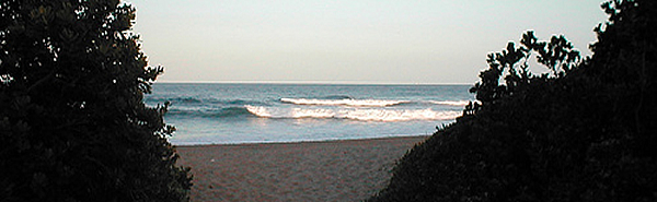 South Coast Beaches