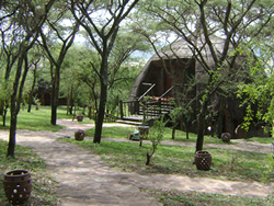 Serengeti Serena