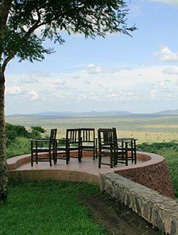 Serengeti Sopa