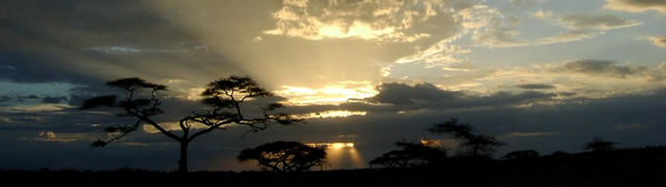 serengeti1
